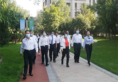 公司住宅类鲁班奖工程获内蒙古自治区党委副书记、代主席王莉霞点赞